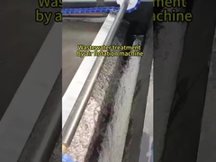 দ্রবীভূত এয়ার ফ্লোটেশন মেশিন